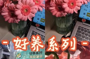 非洲菊的养护指南（了解非洲菊的关键条件和护理技巧）
