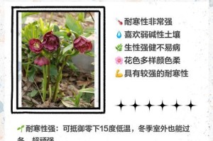 金银花的耐寒能力及应对措施（探究金银花冬季生长情况，提升抗寒能力）