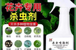 探究以幸福树上有介壳虫的治疗方法
