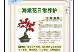 如何正确浇水养护秋海棠花（学会浇水技巧，让秋海棠绽放绚丽花海）
