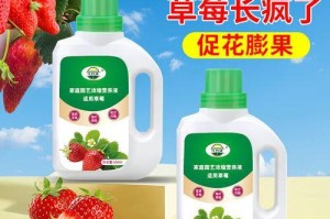 草莓肥料选择指南（选择最适合草莓的肥料让你的草莓更甜更多产）