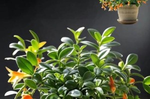 绿叶植物养殖全攻略（掌握关键技巧打造绿色世界）