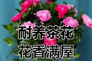 四季茶花浇水方法详解（正确的浇水方式让茶花更健康茂盛）
