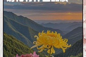 菊花花谢后的管理之道（保护、修剪和再利用，延续菊花美丽的生命）