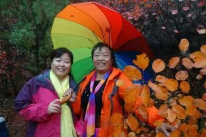 如何养护红叶莲花——打造绚丽花坛的秘诀（红叶莲花养护指南，让花朵更加美丽动人）