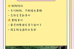 文竹叶子干了怎么办？（如何处理干枯的文竹叶子？）