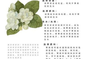 茉莉花的种植与养护（打造美丽花园，尽享清香芬芳）
