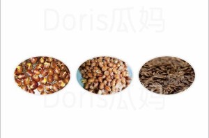 栗子是发物吗？深入了解发物食物（探究发物食物的危害与防范，为健康护航）
