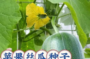 苹果籽的功效与作用大揭秘（苹果籽能吃吗？含有哪些成分？有哪些健康功效？）