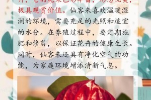 冬季如何最好地养护仙客来花