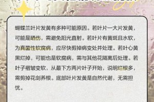 蝴蝶兰叶子凋零，如何挽救？（重建蝴蝶兰的绿色生命之路）