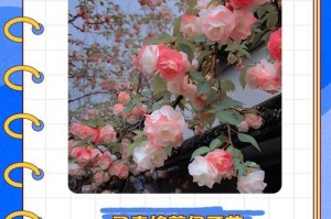 四季海棠花修剪全攻略（方法详解，让你的海棠花长得更好）