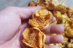 茶花冻的补救方法大揭秘！（怎样救回茶花冻？一起来看看！）