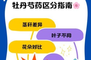 芍药的单瓣与重瓣特征及区分方法（揭秘芍药单瓣和重瓣的区别与鉴别技巧）
