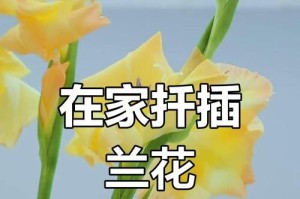 兰花叶片的扦插繁殖技巧（用兰花叶片进行扦插培育，轻松获得新苗）