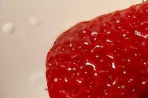 草莓苗的水培方法（水培草莓苗，成活率高）