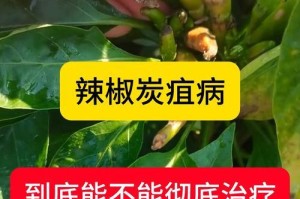 辣椒生长中的病虫害治理方法（辣椒种植中长虫子怎么办？）