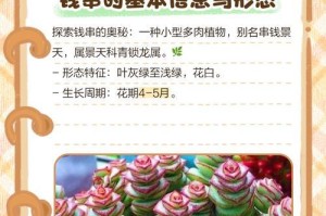 揭秘多肉钱串子开花的绝妙方法（打破常规，让多肉钱串子绽放瑰丽之花）
