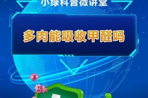 韭菜不仅好吃还能吸收甲醛（韭菜中的绿色清道夫解毒效果不容忽视）