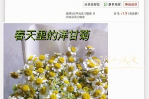 以太阳菊花的水养方法与技巧（打造美丽太阳菊花园的秘密）