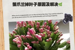 蟹爪兰常见病的治疗与预防（蟹爪兰常见病治疗方法及注意事项）