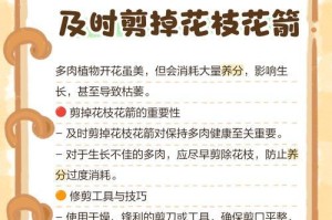 多肉花烂了怎么办？救救我的小可爱！（多肉花烂了的原因和养护技巧）