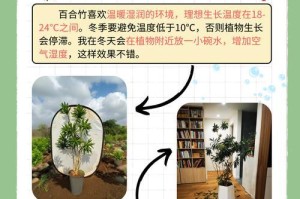 百合养护之剪枝技巧（掌握正确的剪枝时间和方法，让百合更加健壮）