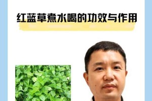 探秘神秘的蓝草（科学家解读其植物学家族和生态环境，一起来探索！）