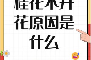 不开花的植物竟然开花了？（探秘植物开花的奥秘与可能性）