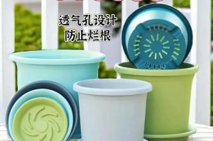 如何避免花盆烂根（保护根系健康的关键措施及方法）