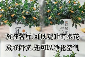 十月份金鱼吊兰修剪指南（打造健康繁茂的室内绿植，助你享受秋日清新氛围）