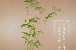 如何培养旺盛的带根竹子（-带根竹子养护指南）