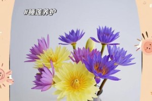 以多肉美丽莲怎么养——打造迷人花园的秘诀（简单养护技巧，让多肉美丽莲绽放绚烂花海）
