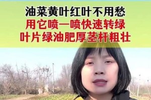 探究油菜黄叶不长的原因（分析土壤养分不足的关键问题）