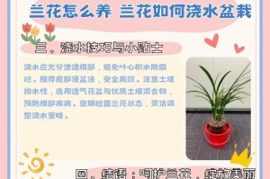 兰花的阳养之道（探寻兰花晒太阳的奥秘）