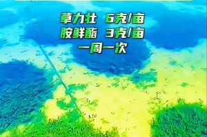 水草快速生根的秘诀（掌握关键方法，助力水草生长）