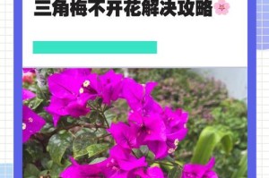 勒杜鹃的开花特点（花期长短，一年几次开花）