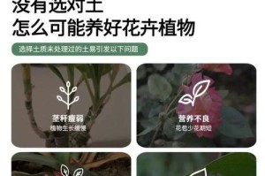 以花草土壤为主题的制作方法及技巧（打造理想花草土壤的关键步骤和注意事项）