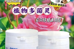 多肉患上白数粉病，应对措施大揭秘（多肉白数粉病防治全攻略，轻松拯救你的小绿植）