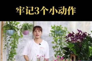 以太阳花扦插后的养护指南（让你的以太阳花健康生长的关键诀窍）