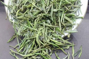 探秘雀舌茶——一款优质绿茶的独特魅力（了解雀舌茶的品种、特点和功效，享受健康生活的乐趣）