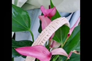 花掌纹路的奥秘（揭开我手掌的花纹密码，了解内心的秘密）