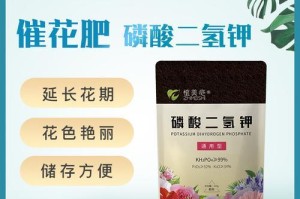 兰花施肥：选择最优肥料，保证兰花健康生长