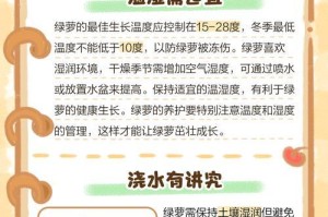 如何在学校养护绿萝健康茁壮生长（学校养绿萝，关键在于细心呵护）