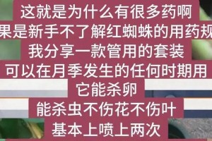 如何有效应对月季花生红蜘蛛（预防与治疗红蜘蛛侵袭的有效方法）