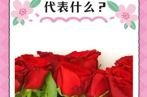 5朵玫瑰花的花语（探究玫瑰花不同朵数的花语）