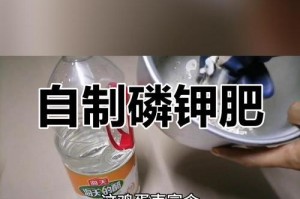 利用鸡蛋壳制作肥料的方法（将废弃的鸡蛋壳变废为宝，轻松制作高效肥料）