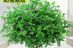以清香木修剪的艺术之道（掌握修剪技巧，打造优美枝形）