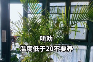 如何处理散尾葵的黄叶（散尾葵枯黄了还能救活吗？散尾葵黄叶的原因及处理方法）