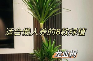 室内植物太长怎么办？（室内植物修剪技巧与注意事项）